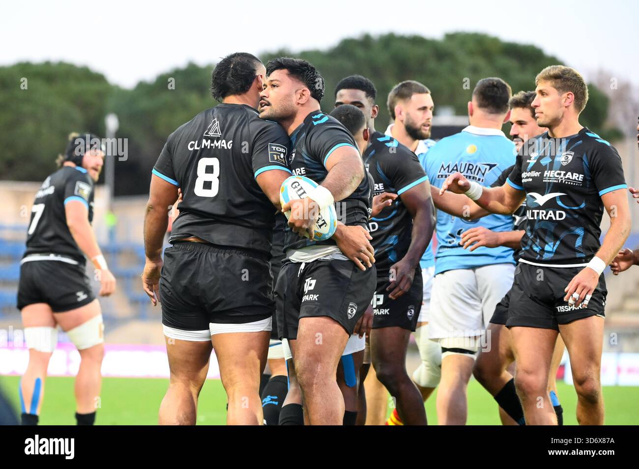 Montpellier Defeats Toulon in Top 14 Round 5 Montpellier Defeats Toulon in Top 14 Round 5