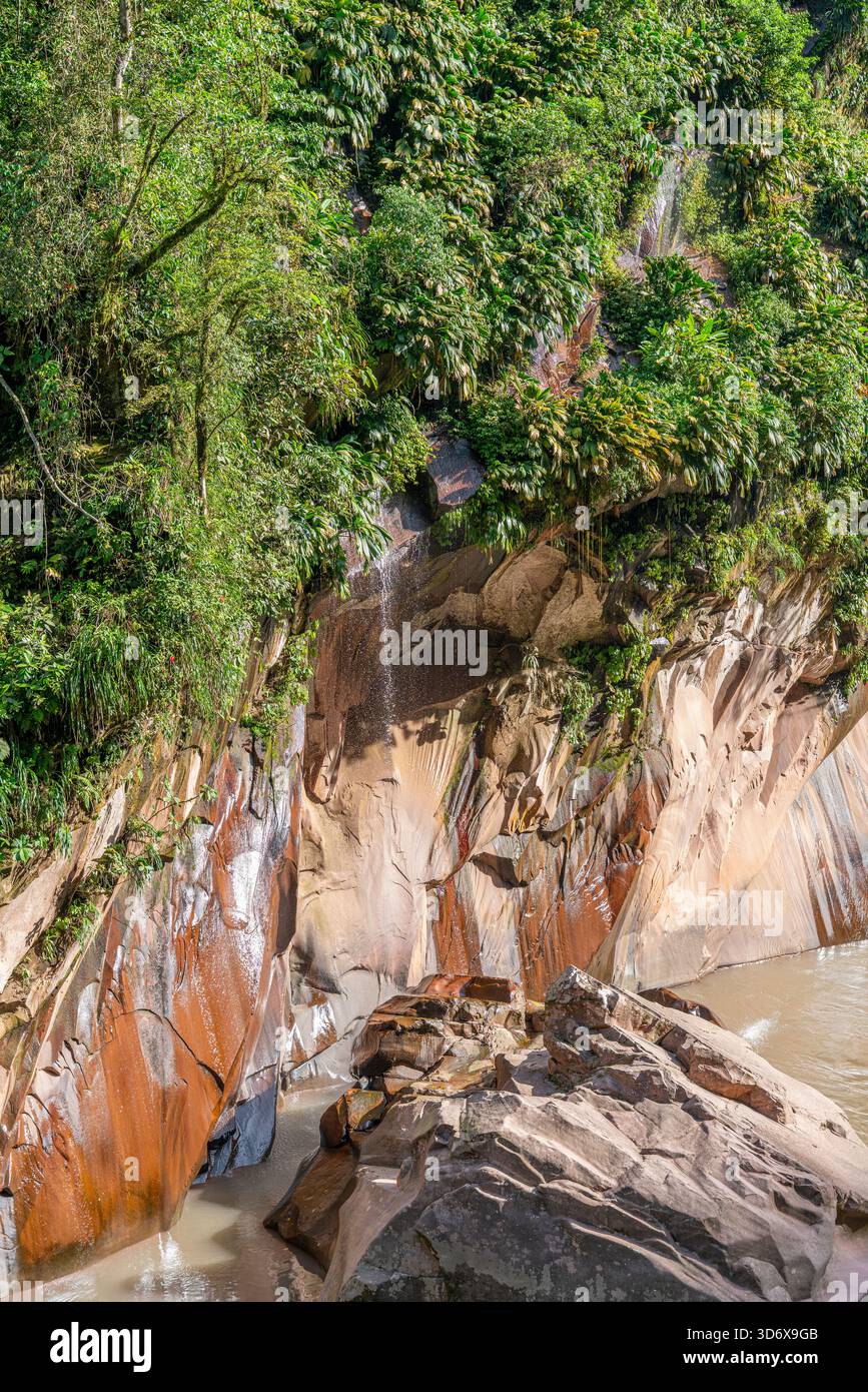 Rocky Amazon rainforest cliff with dripping water in Tingo María, Peru,  featuring lush vegetation and natural tropical landscape scenery Stock  Photo - Alamy, image size:867x1390