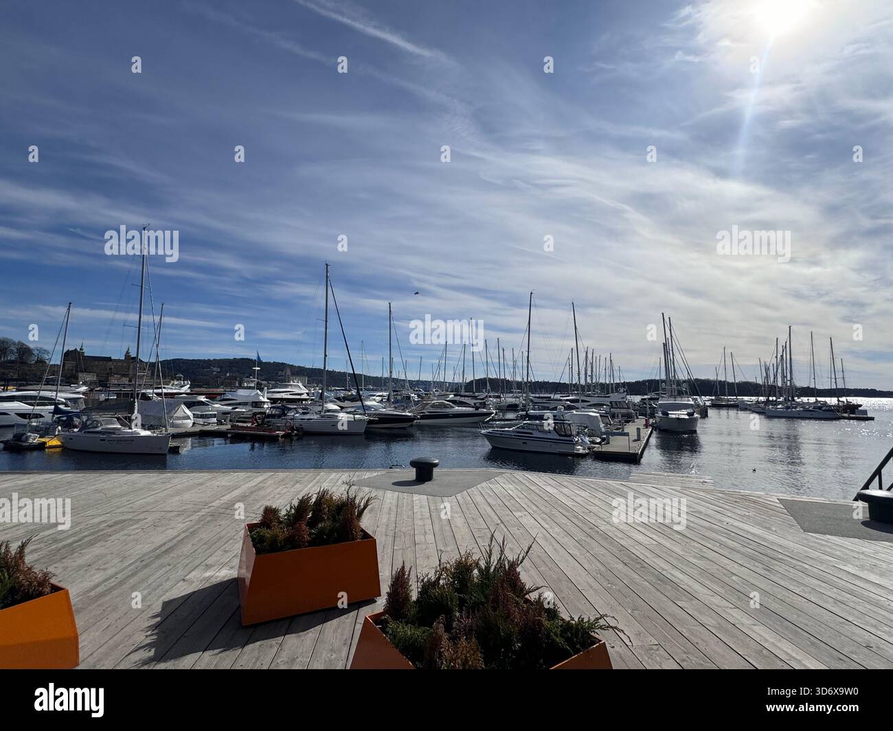 A sunny marina filled with sailboats and yachts, with calm water and distant hills shining under soft blue sky. - Smartphone Captured Stock Image