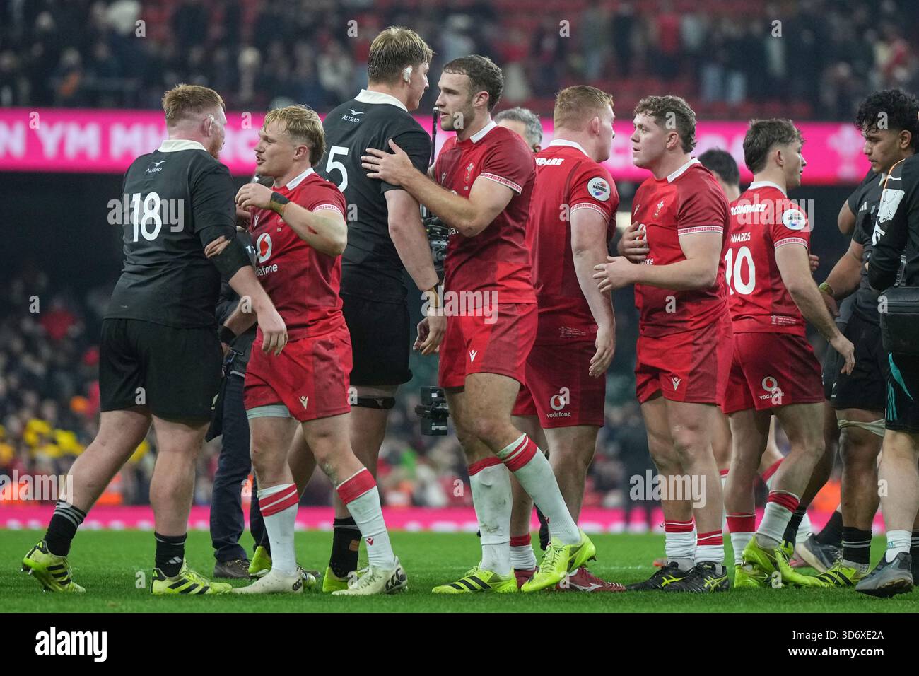 Wales and New Zealand players greet each other after the Nation's ...