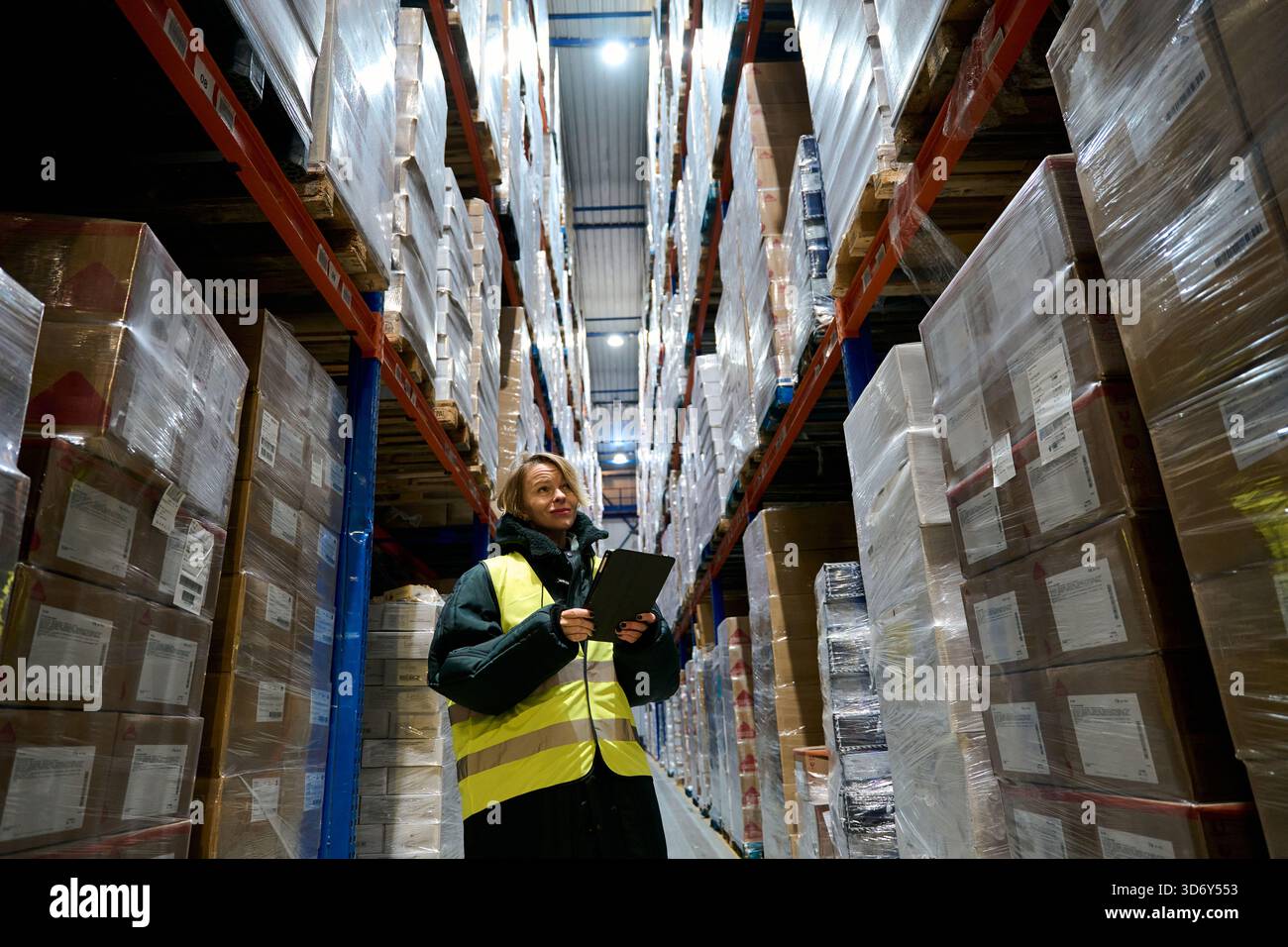 Woman worker checking inventory in cold storage warehouse Stock Photo