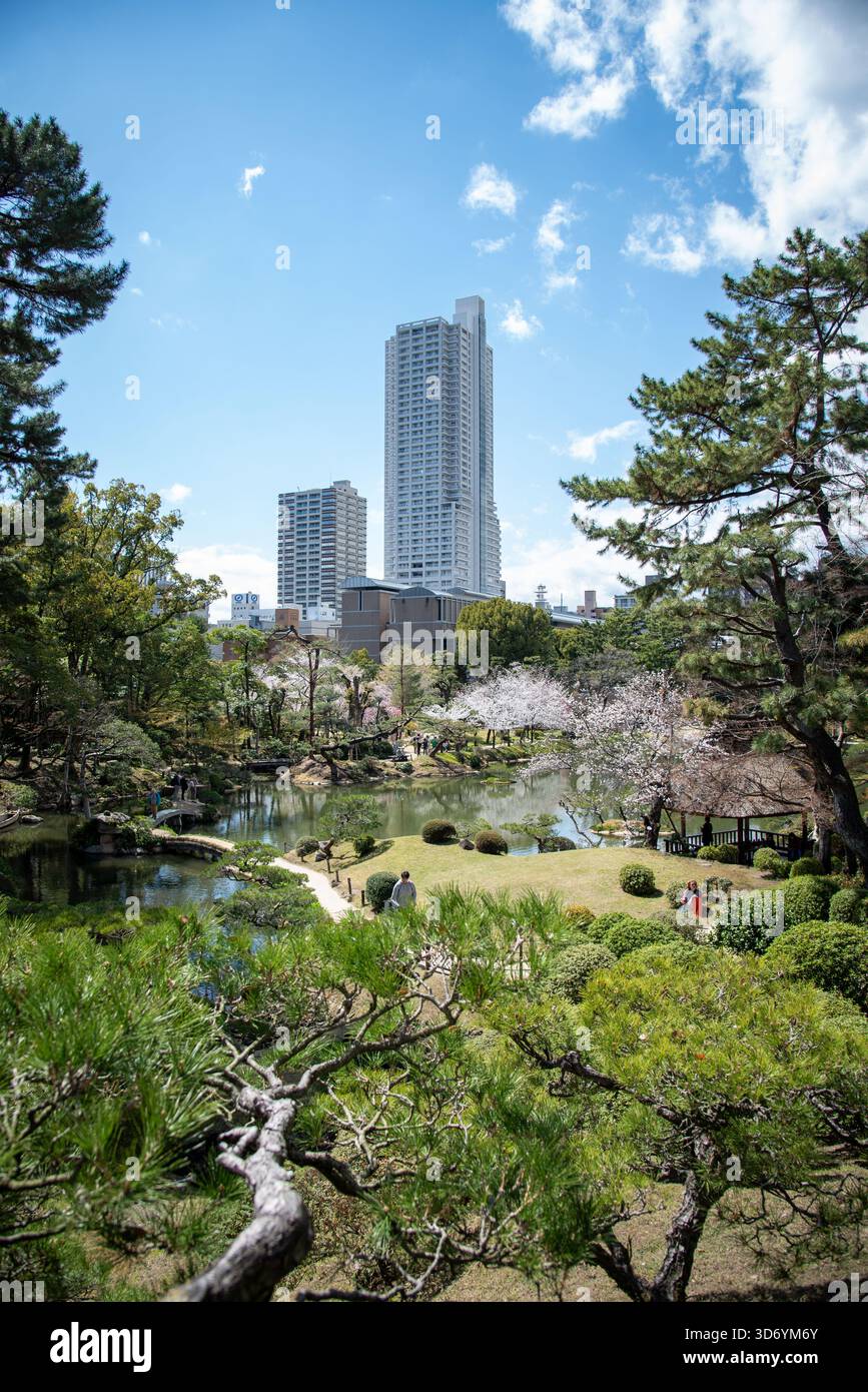 Picture of Vertical Gardens on Buildings: The Rise of Sky-High Urban Gardens