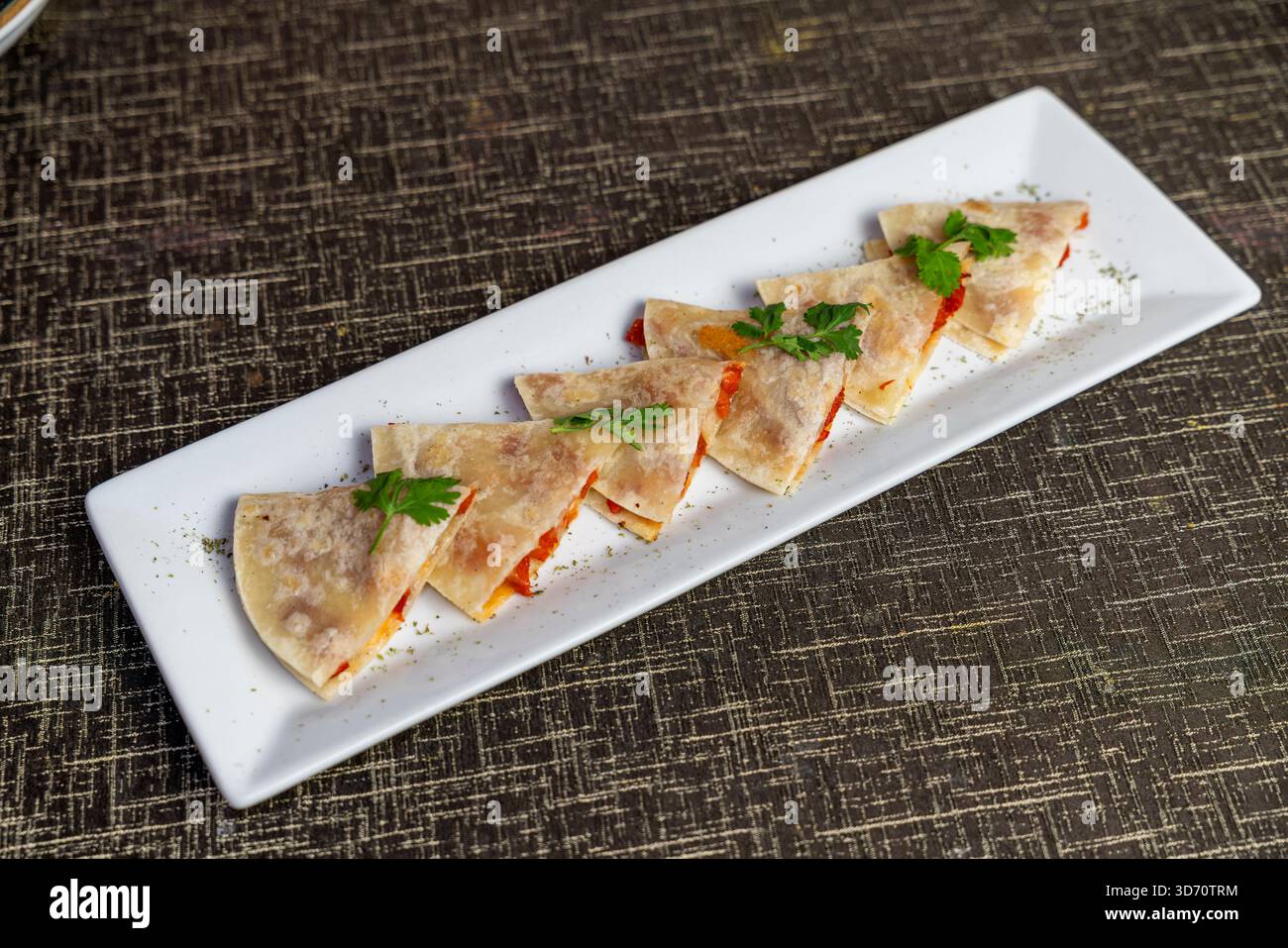Gourmet stuffed quesadilla slices served on rectangular plate, ideal as restaurant appetizer, casual dining food, Mexican inspired cuisine presentatio Stock Photo