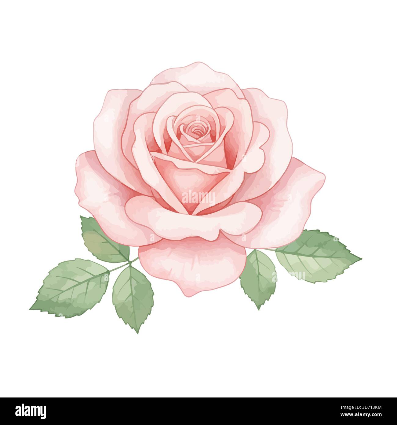 Timeless beauty vector vectors hi-res stock photography and images - Alamy
