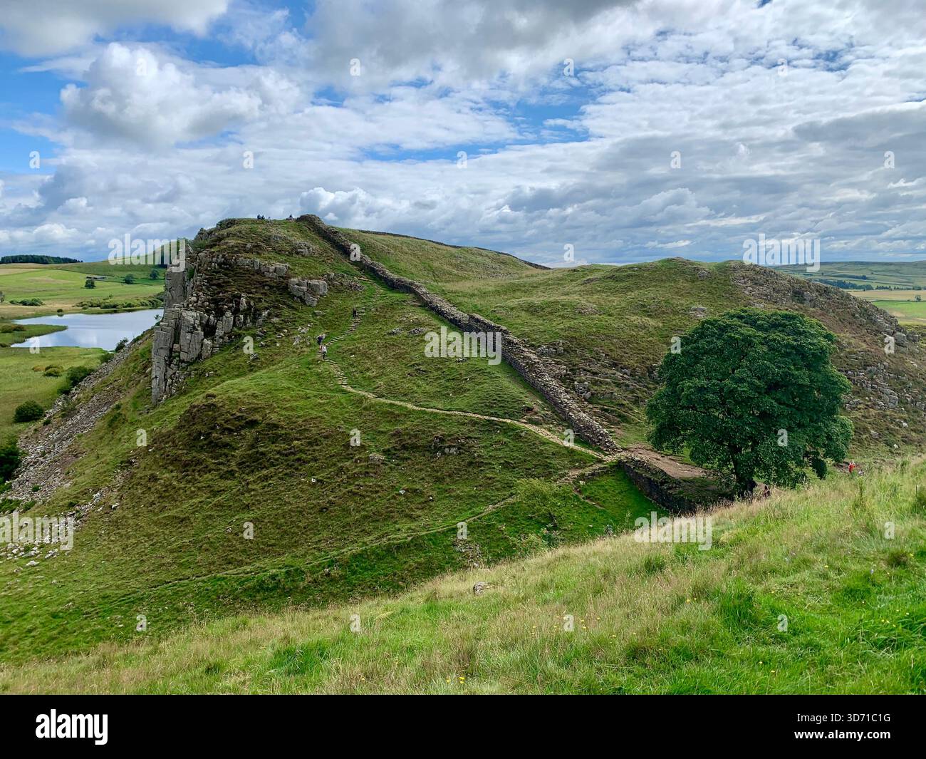 View of The Sycamore Gap Tree and Hadrians Wall, Northumberland, England, UK - Smartphone Captured Stock Image
