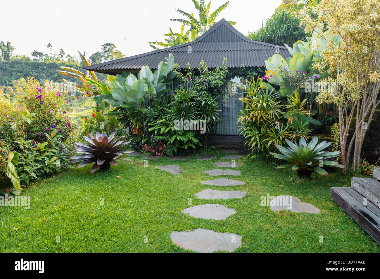 Tropical villa surrounded lush hi-res stock photography and images - Alamy