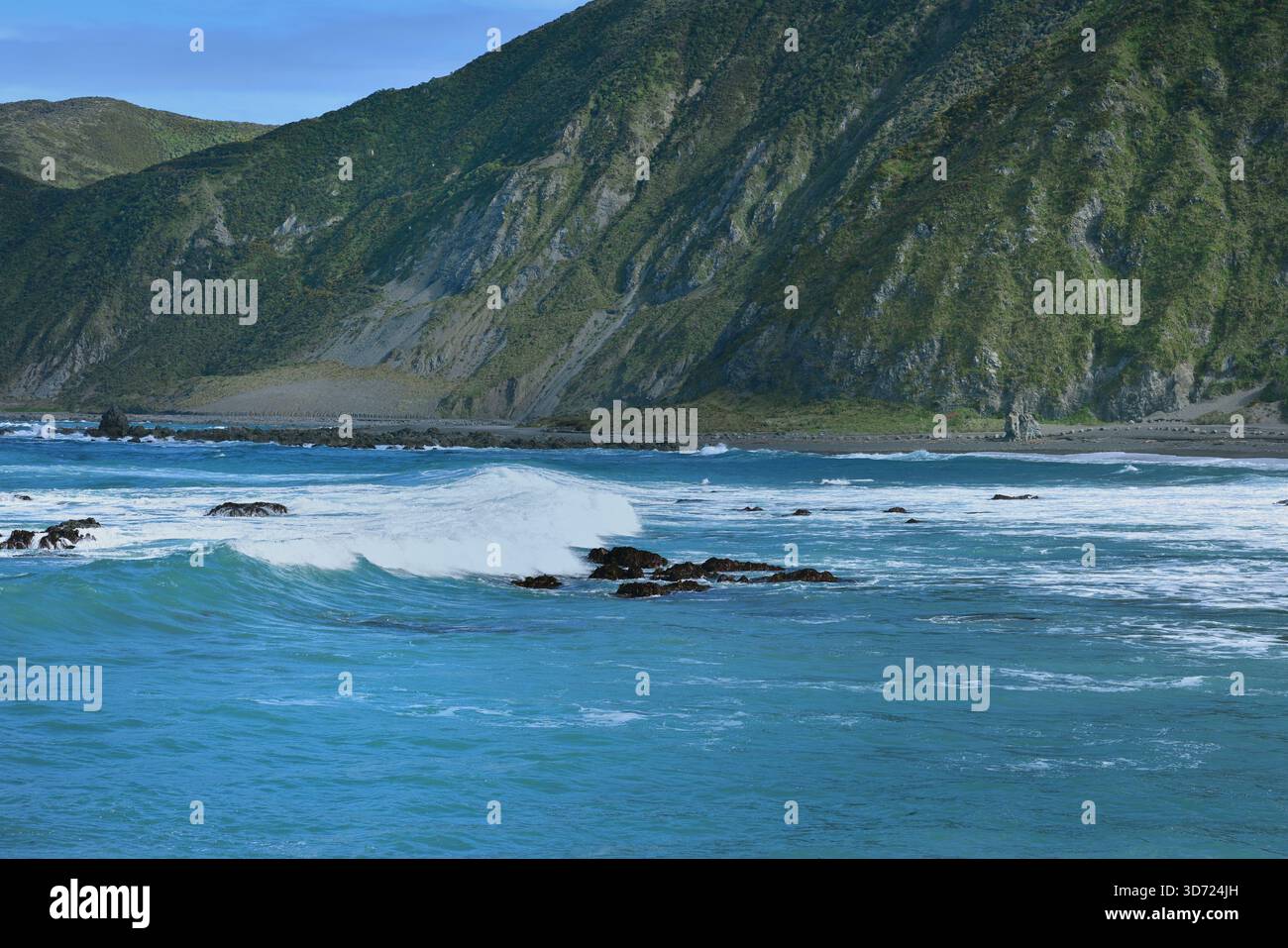 The curved bay of Owhiro of the Cook Strait Stock Photo - Alamy
