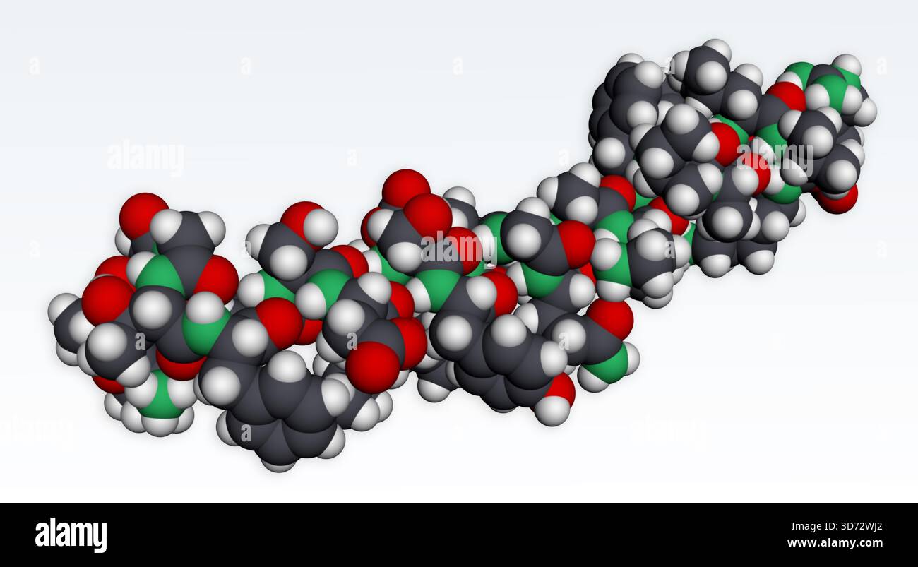 glp 1 peptide hormone GLP-1 GLP-1 (glucagon-like peptide-1) hormone molecule.