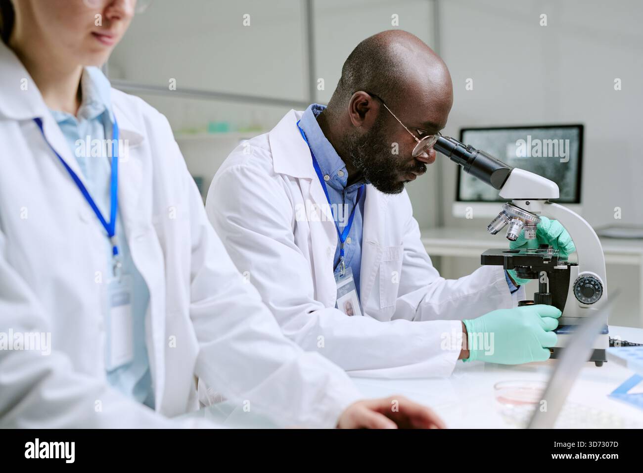 Middle Aged Black Man Examining Samples under Microscope in Laboratory Setting Stock Photo