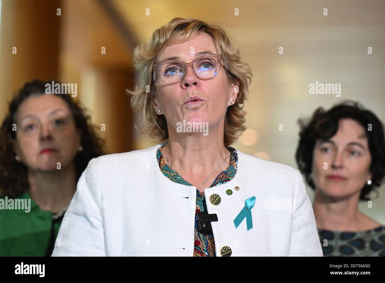 Independent member for Warringah Zali Steggall speaks to the media ...