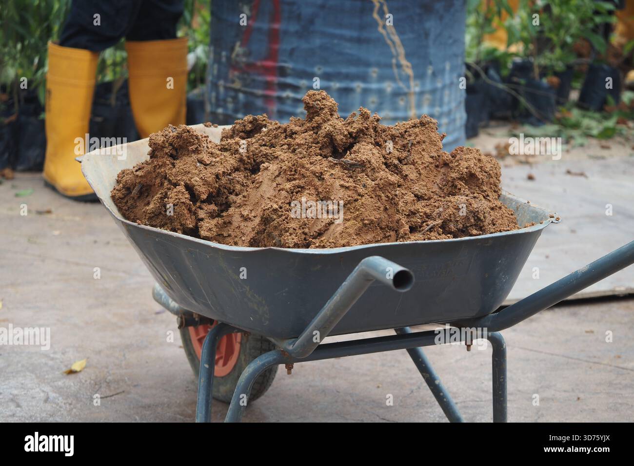 Wheelbarrow filled with soil in a garden setting Stock Photo - Alamy