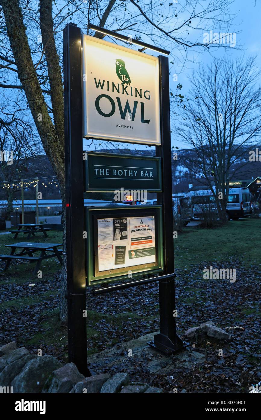 The winking owl hi-res stock photography and images - Alamy