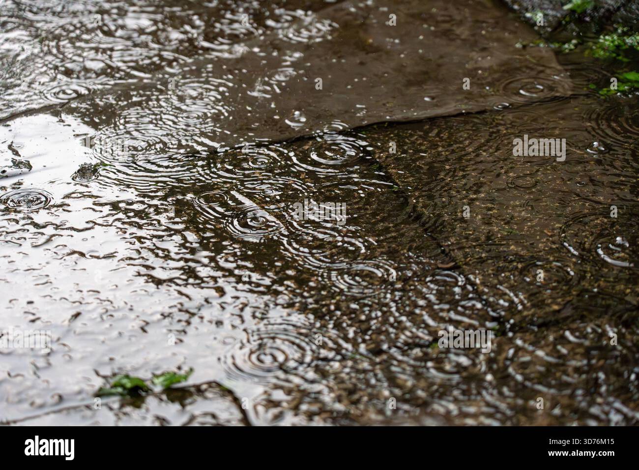 Raindrops Creating Ripples on Wet Pavement Surface Stock Photo