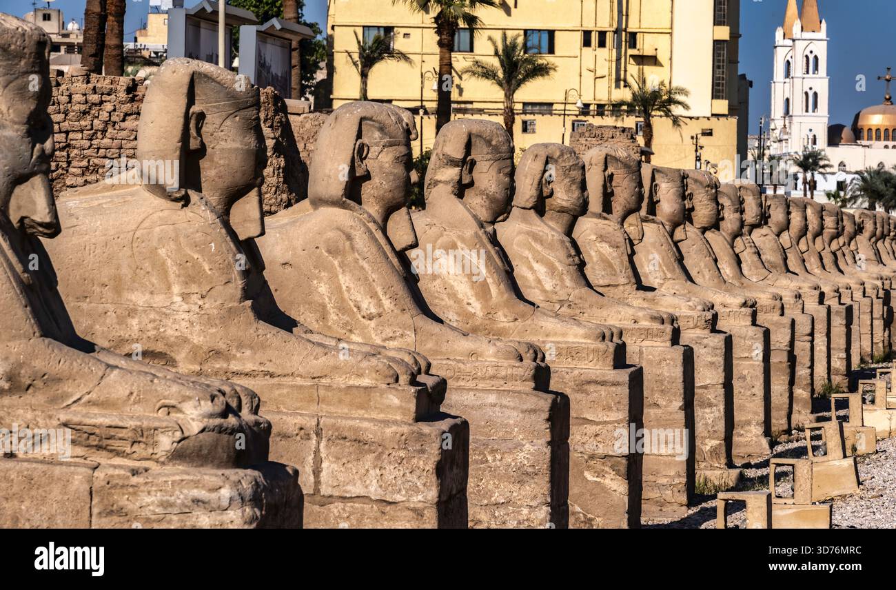 Avenue of Sphinxes or The King's Festivities Road, also known as Rams Road. Luxor, Egypt. February 2023 Stock Photo