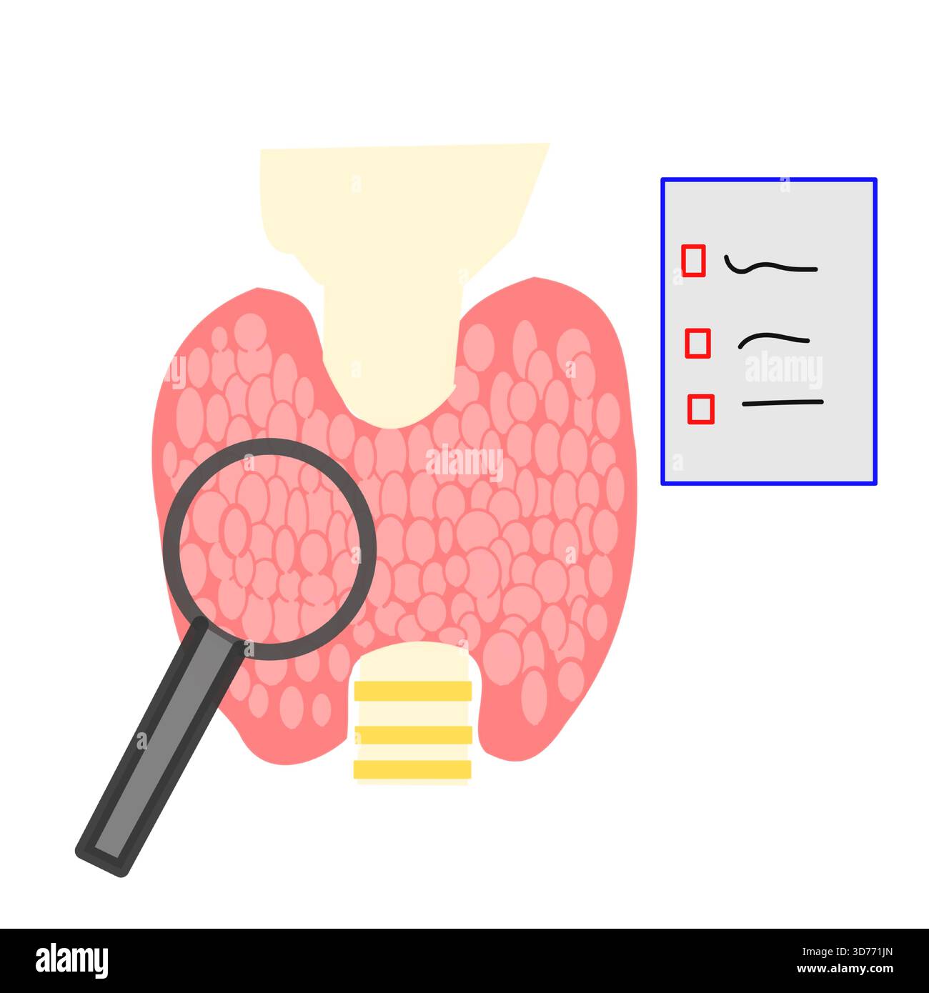 thyroid test with magnifying glass with test report result interpretation finding disease Stock Vector