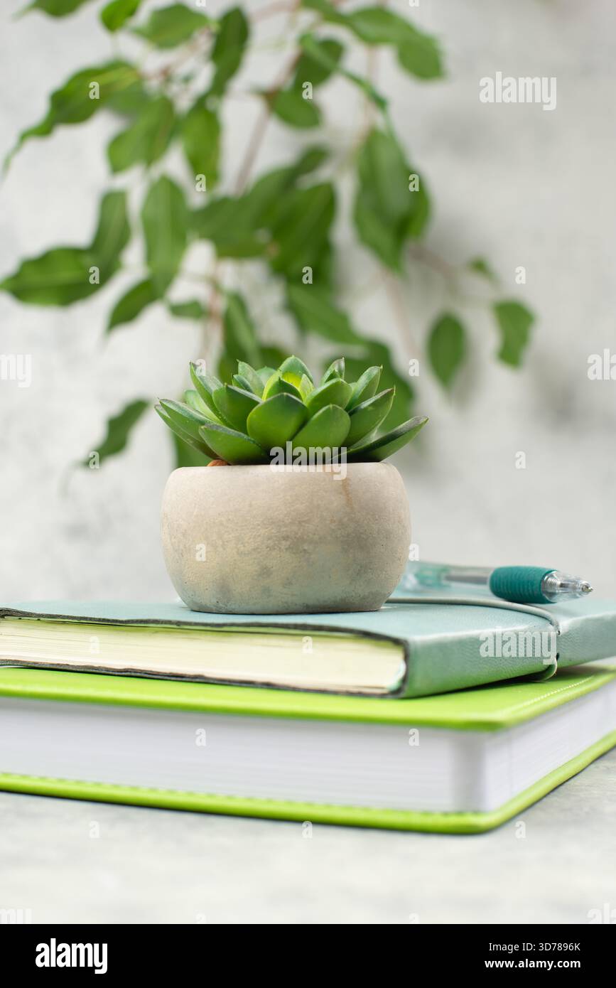 Colorful notebooks on a desk, pen for writing a message, cactus on the pile of booklets, office and lifestyle concept Stock Photo