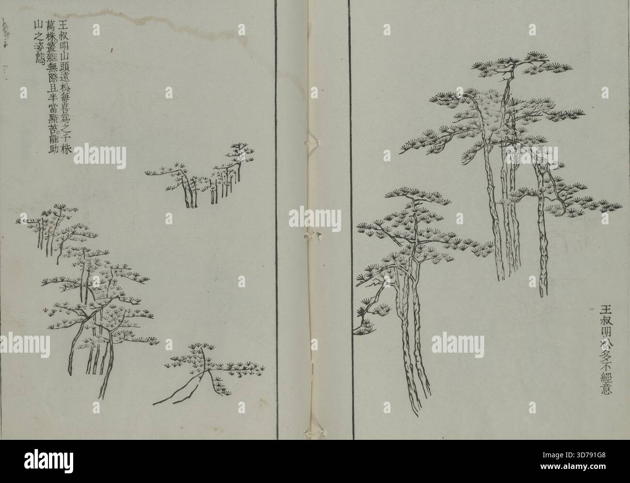 Kaishien gaden = The Mustard Seed Garden Painting Manual, 1753, by Wang  Gai, active 1677-1705, Kyoto, Woodcuts Stock Photo - Alamy