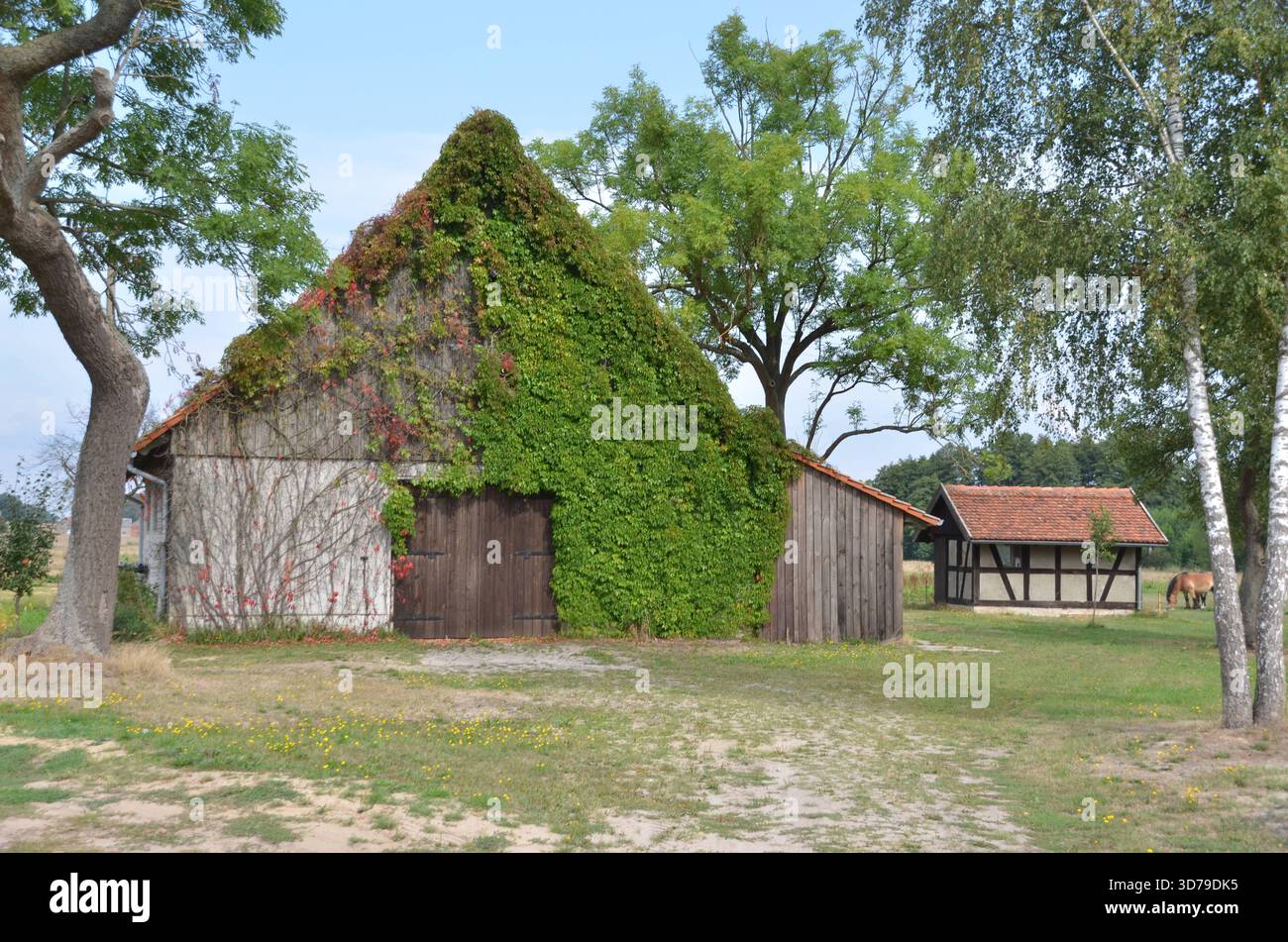 Mit efeu bewachsen hi-res stock photography and images - Alamy
