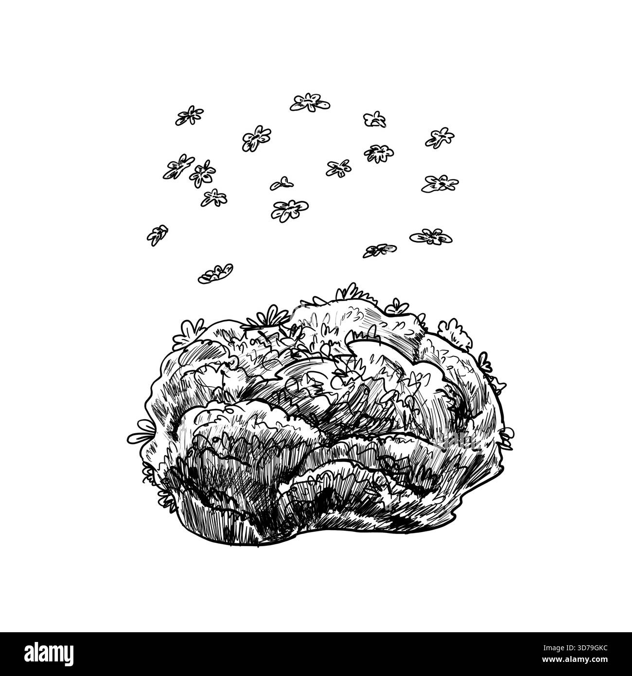 Lush green leaves flowers Black and White Stock Photos & Images - Alamy