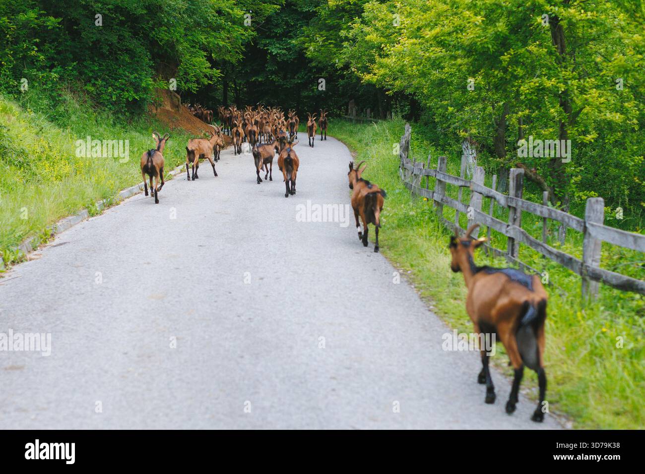 Walking in a rural area hi-res stock photography and images - Alamy