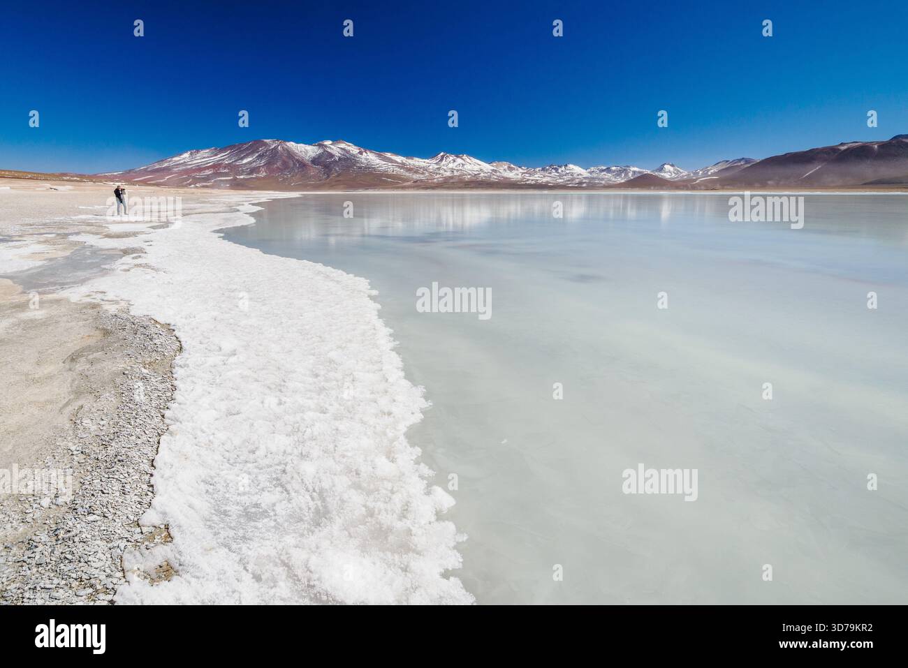 Laguna Blanca the White Lake in Southern Bolivia is an endorheic salt lake from which no water flows at 4300m in the Andes of South America Stock Photo