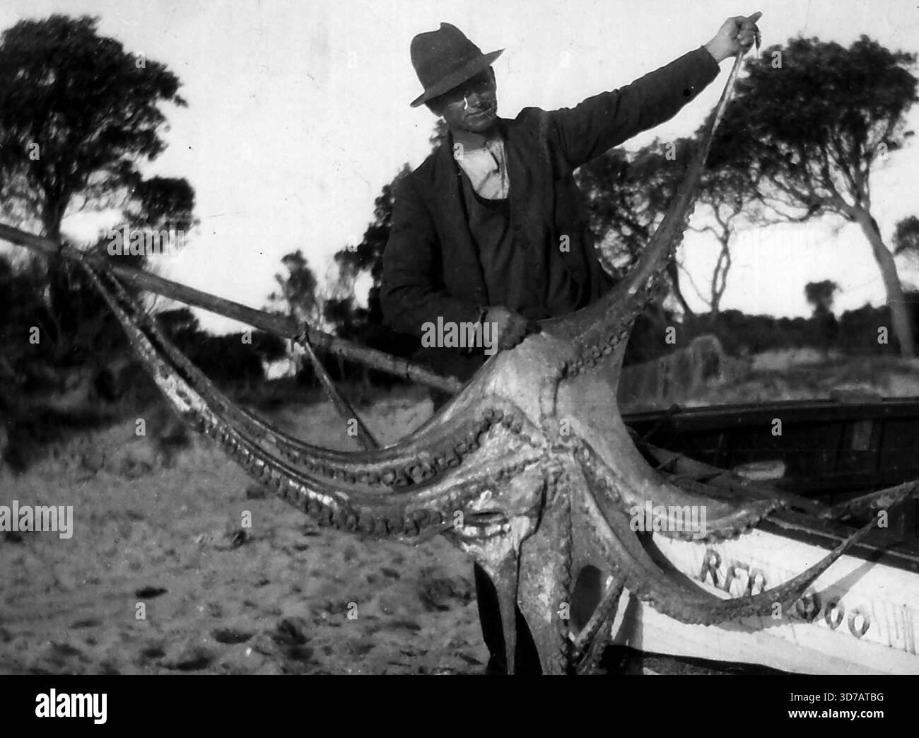Octopus Rowing When Mr. J. Chrines, of Seaford, was rowing in shallow water today one ...