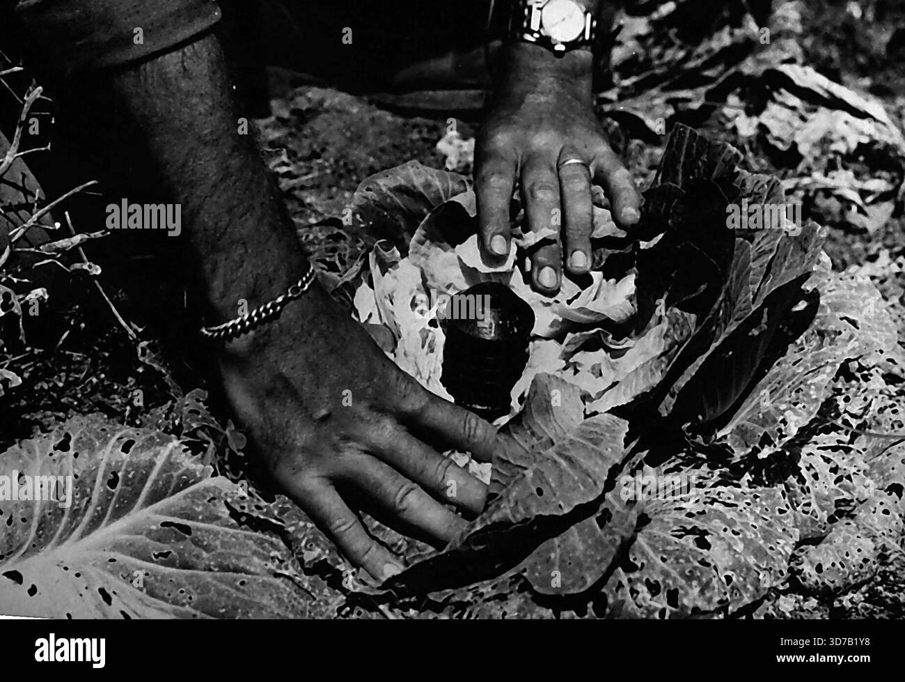 Grenades war file Black and White Stock Photos & Images - Alamy