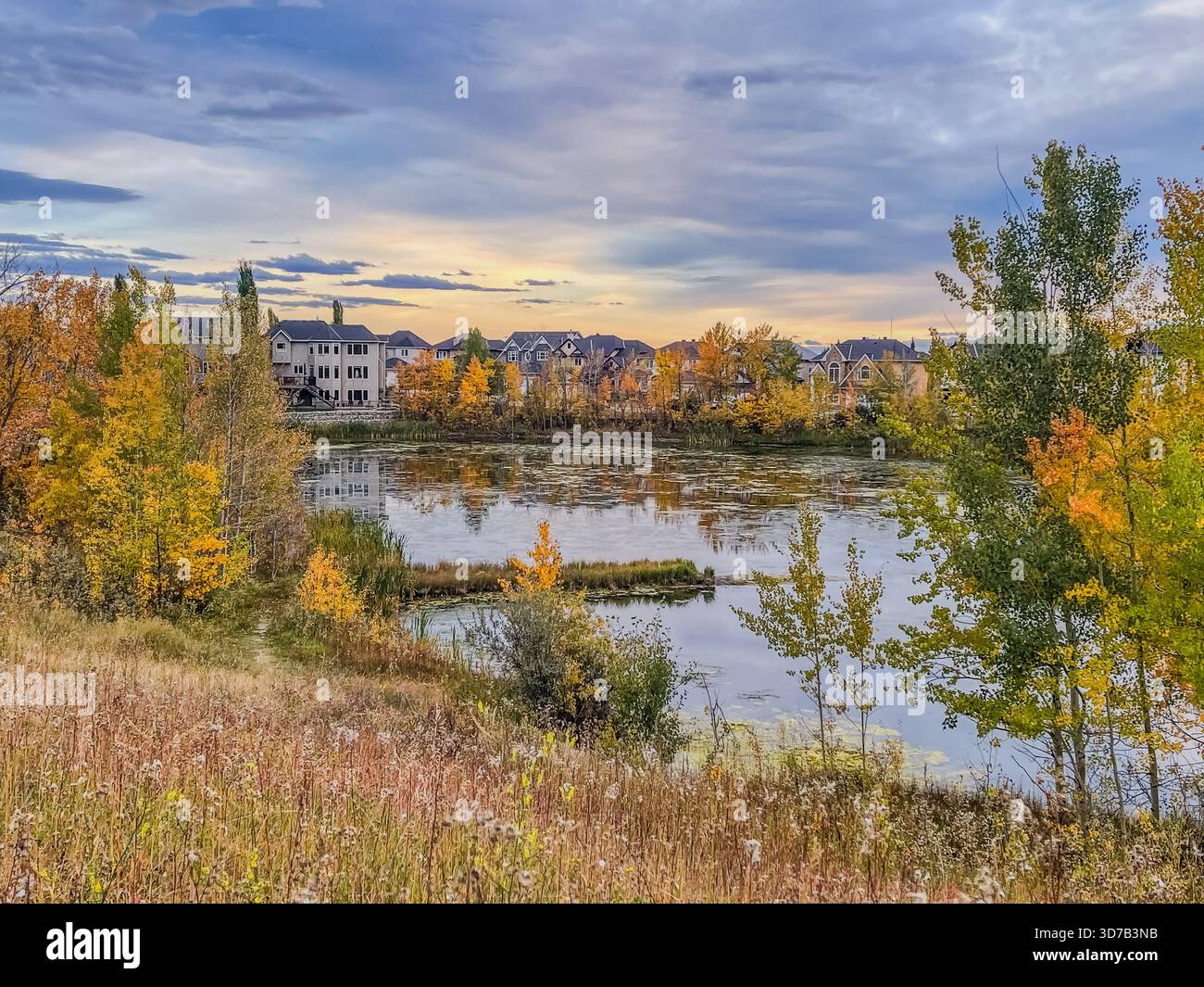 Bright autumn leaves create a beautiful scene along a tranquil lake. Houses are visible in the background, complementing the colorful foliage during t - Smartphone Captured Stock Image