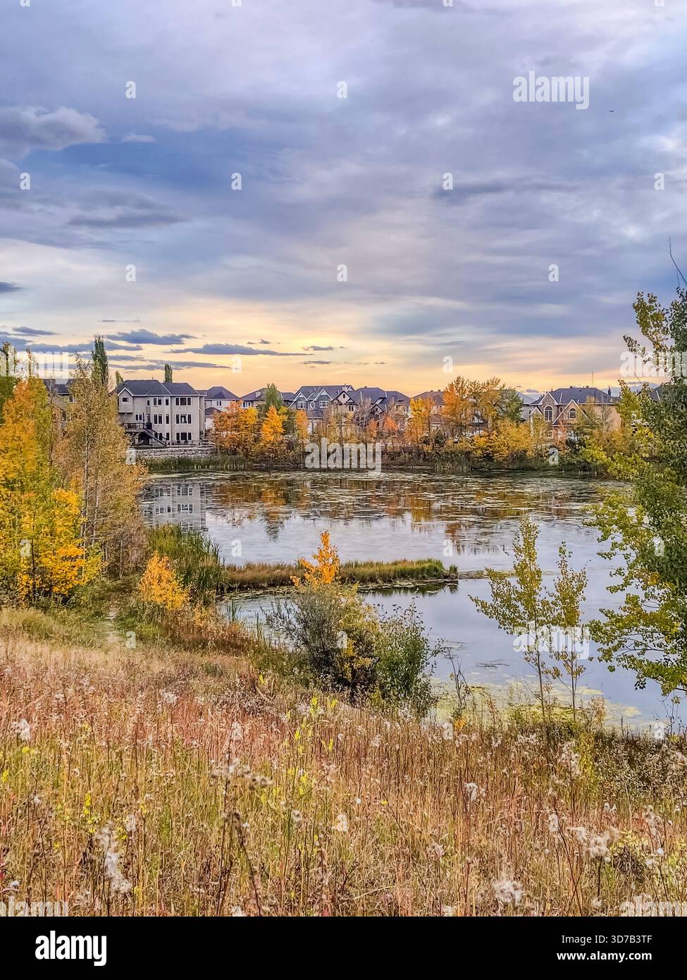 Vibrant autumn colors reflect in a tranquil lake, with trees in shades of orange and yellow. Nearby homes are nestled among the natural beauty during - Smartphone Captured Stock Image
