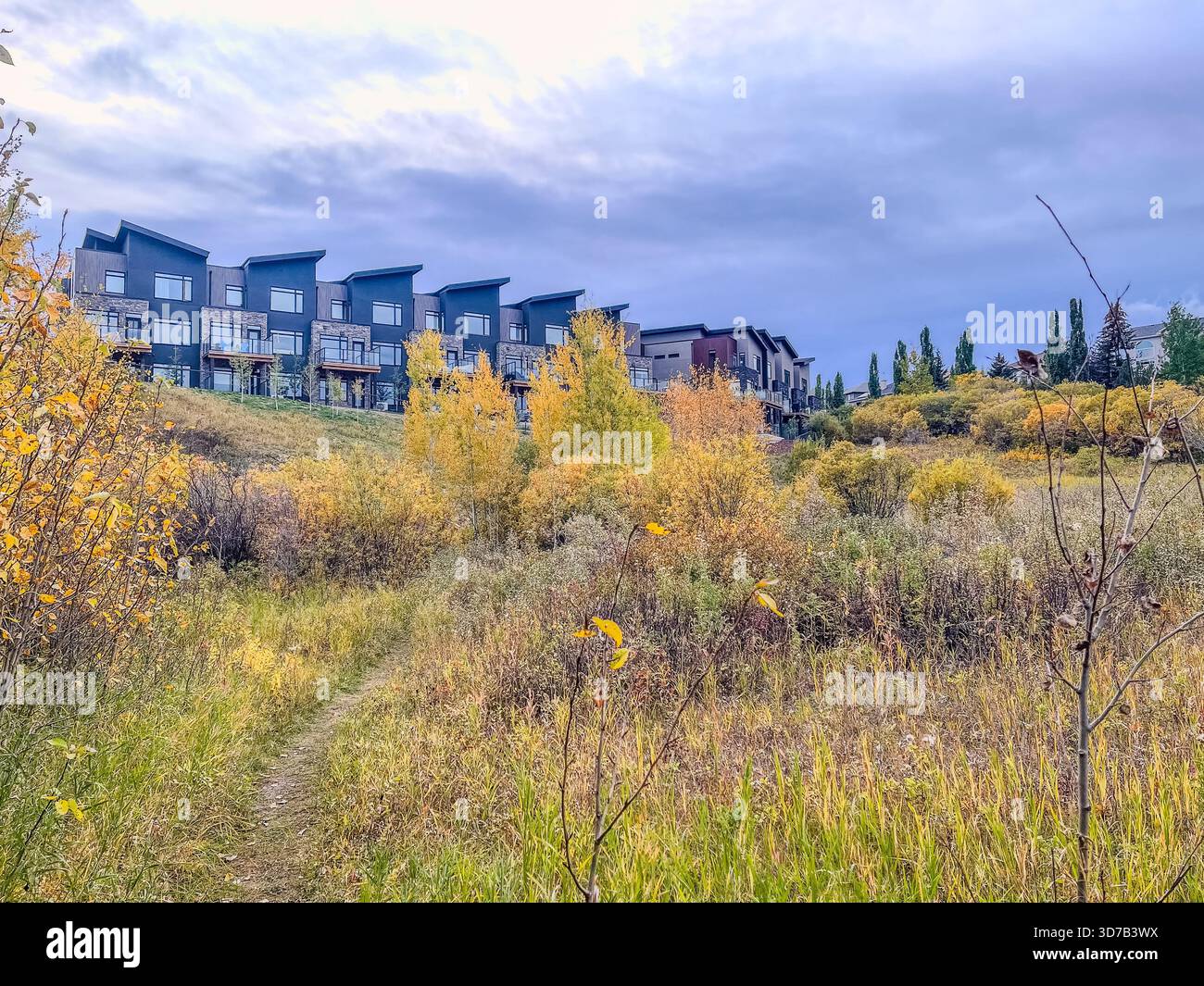 Colorful autumn foliage covers the landscape in a mountain town. Modern buildings sit on a hillside, complementing the vibrant yellow and orange leave - Smartphone Captured Stock Image