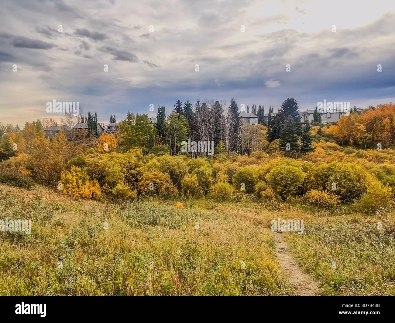 Bright autumn foliage contrasts with dark clouds as a pathway leads through a natural landscape. Houses peek through the trees, highlighting a serene - Smartphone Captured Stock Image
