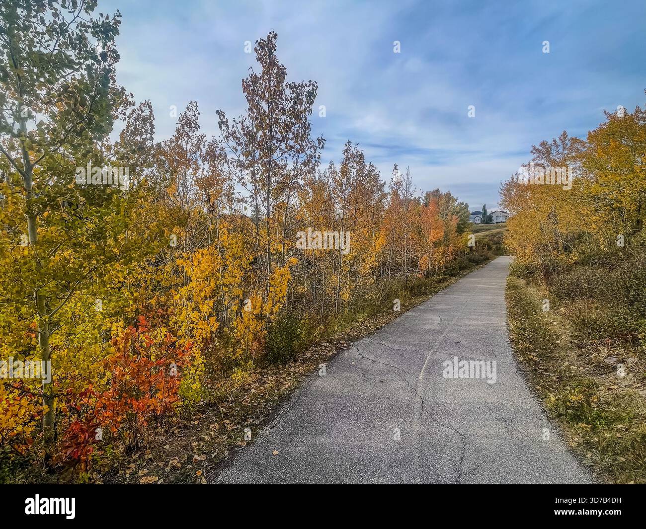 Leaves turn vibrant shades of orange and yellow, framing a smooth, winding path. A peaceful atmosphere surrounds this scenic park trail on a bright au - Smartphone Captured Stock Image