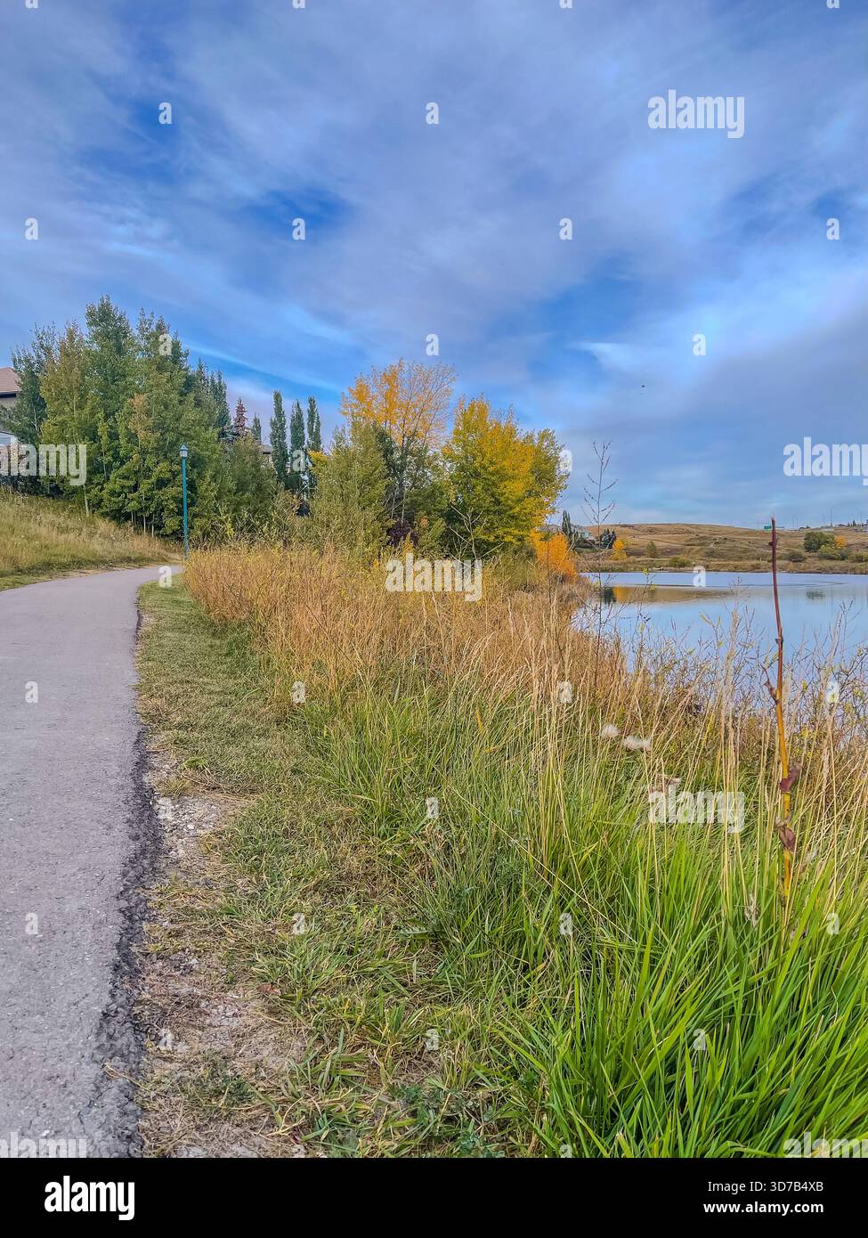 A winding path runs beside a tranquil waterway, surrounded by tall grasses and colorful trees showing autumn hues. The sky is clear and adds to the ca - Smartphone Captured Stock Image