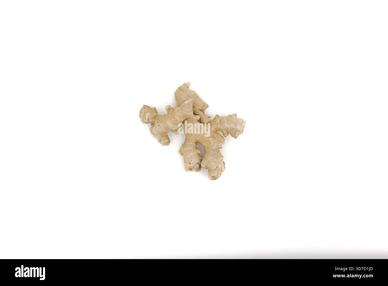 Raw ginger root displayed under bright white lighting to emphasize its natural structures. Stock Photo