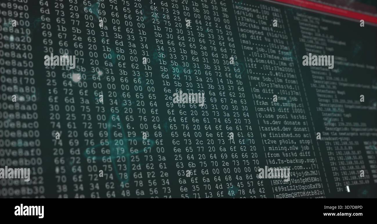 Displaying computer monitor presenting dense hex dump in terminal ...
