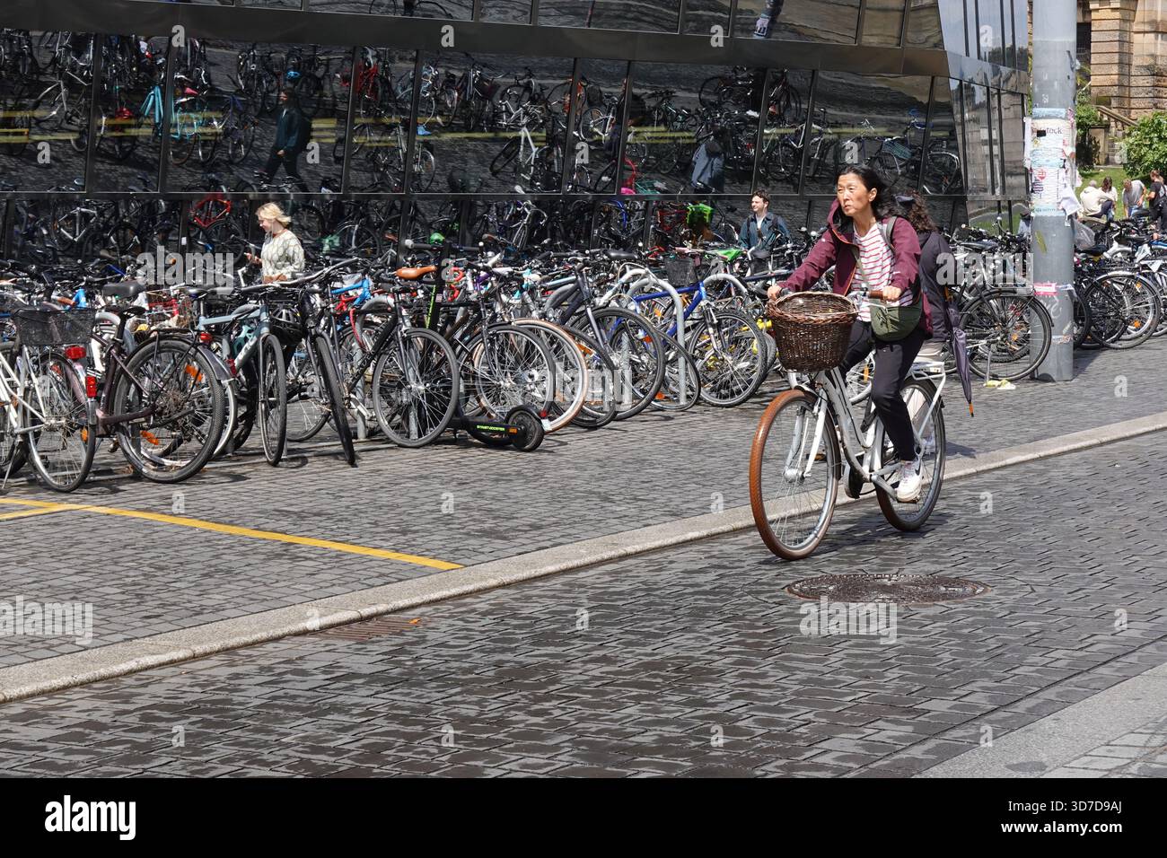 Germany, Freiburg, Woman riding bicycle, Freiburg is known as a bicycle ...