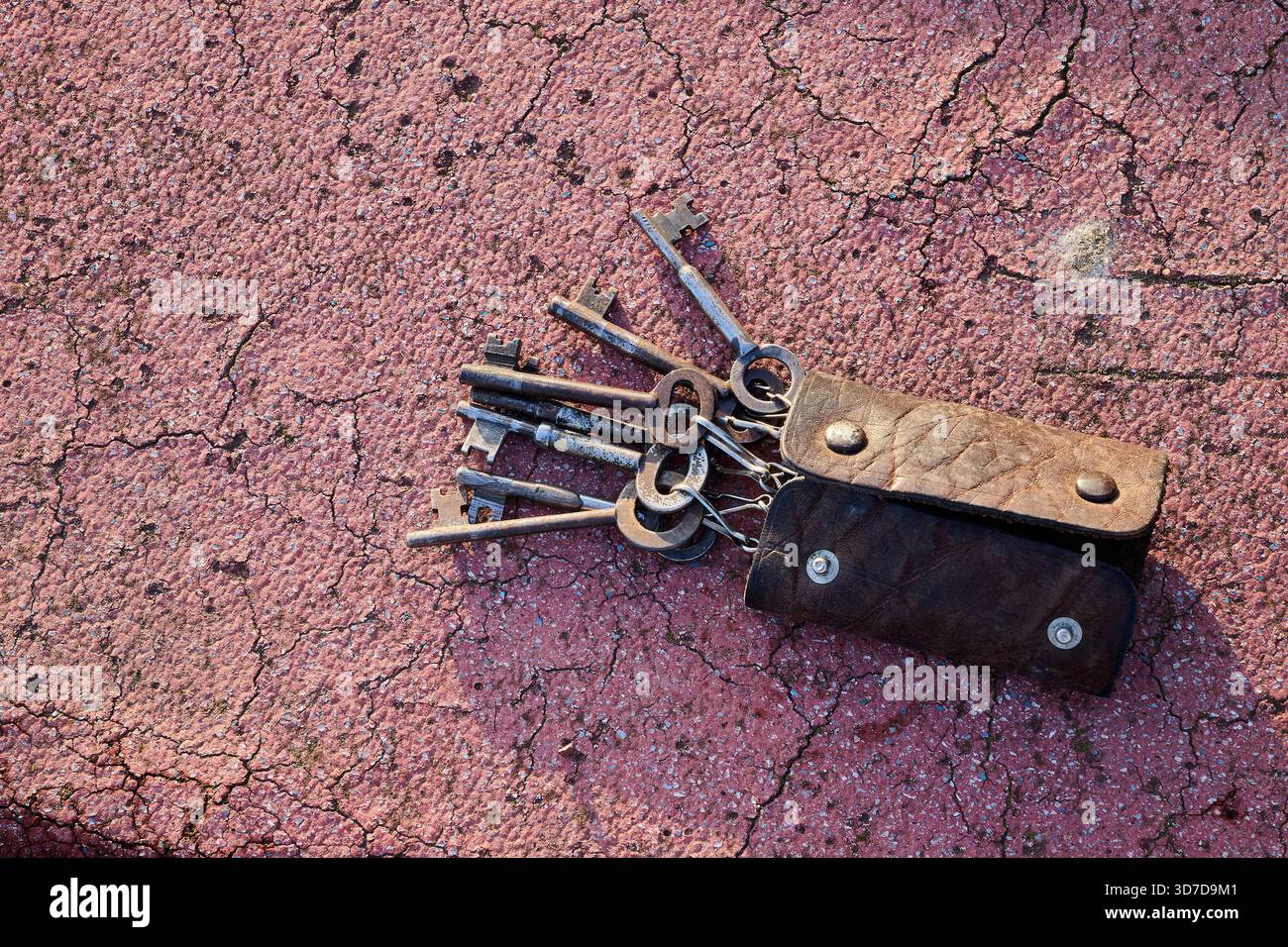 leather case with several keys Stock Photo