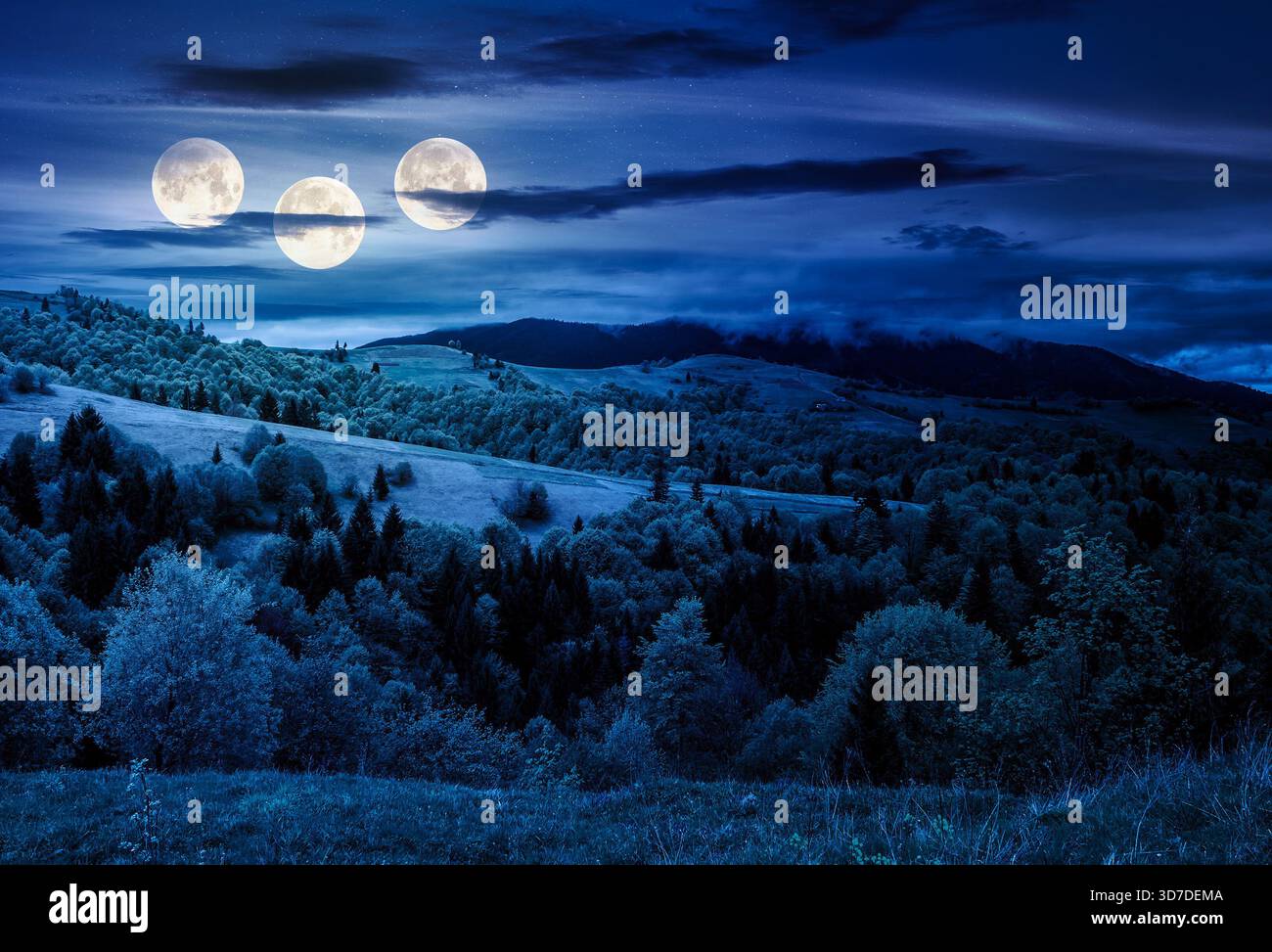 forest in mountain rural area at night. landscape with green agricultural field on a hillside in full moon light. beautiful spring scenery with cloudy Stock Photo