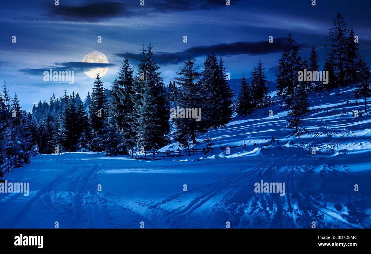 winter countryside with spruce forest at night. snow covered road in mountains in full moon light. beautiful nature scenery for outdoor adventure. bac Stock Photo