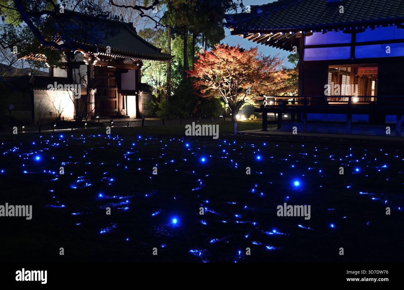 the-gardens-of-shoren-in-temple-are-illuminated-in-higashiyama-ward