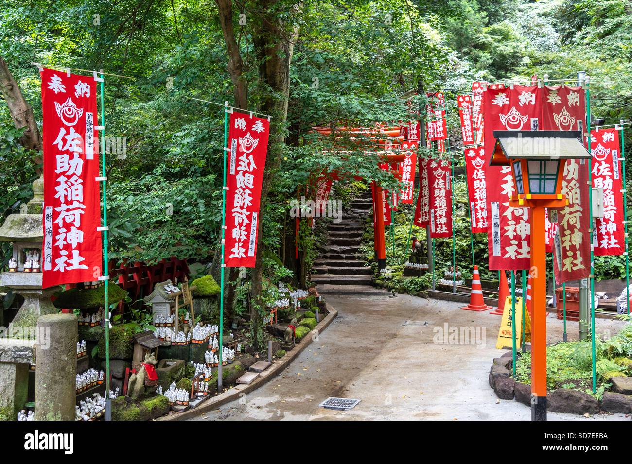 Stone steps lead through vibrant red torii gates and fox figurines ...