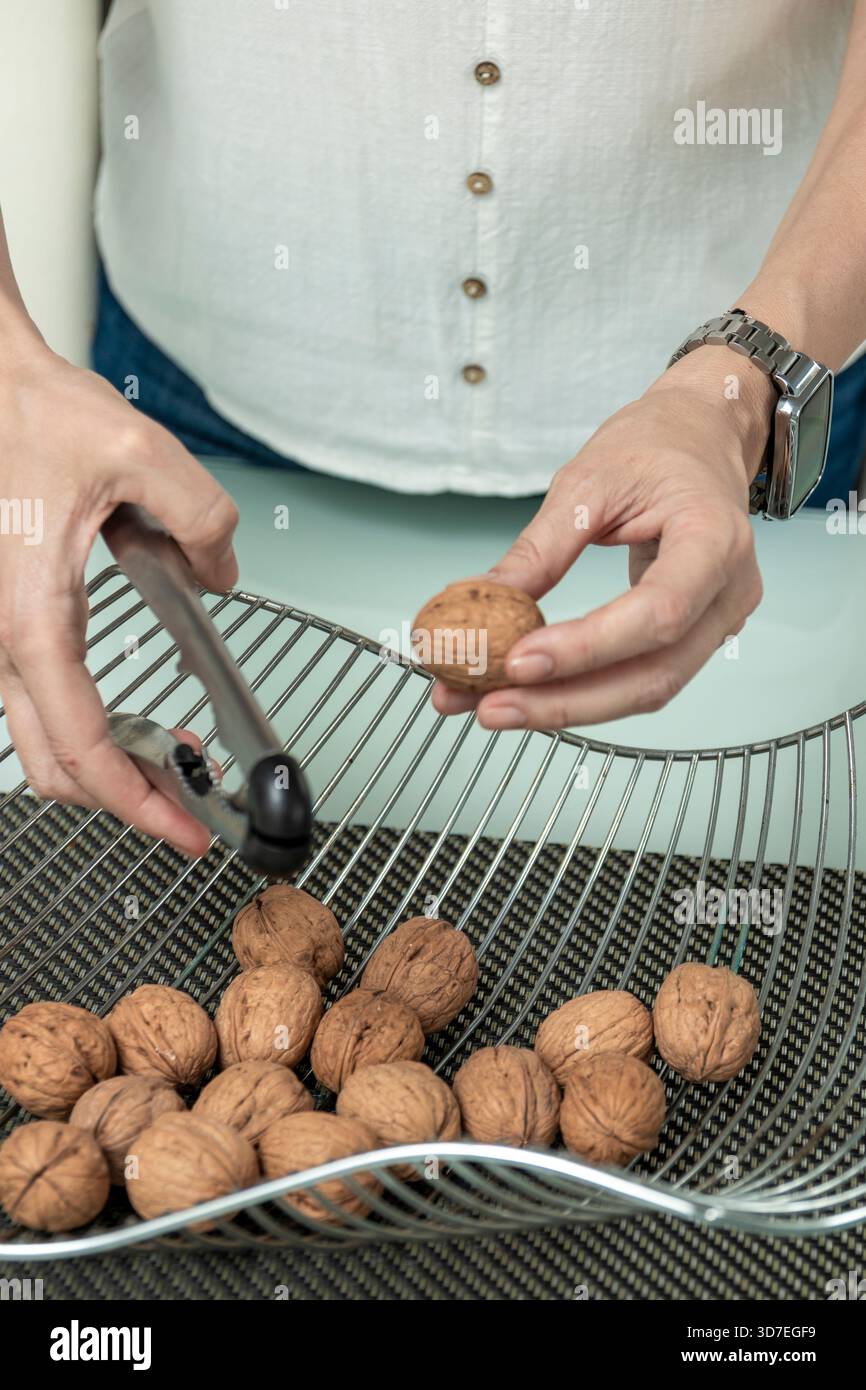 Hands cracking walnuts with a nutcracker for a healthy snack or ingredient Stock Photo