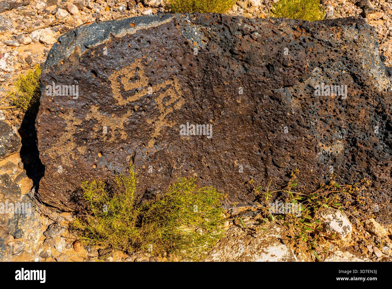 Petroglyphs at Boca Negra Canyon, Petroglyph National Monument. West