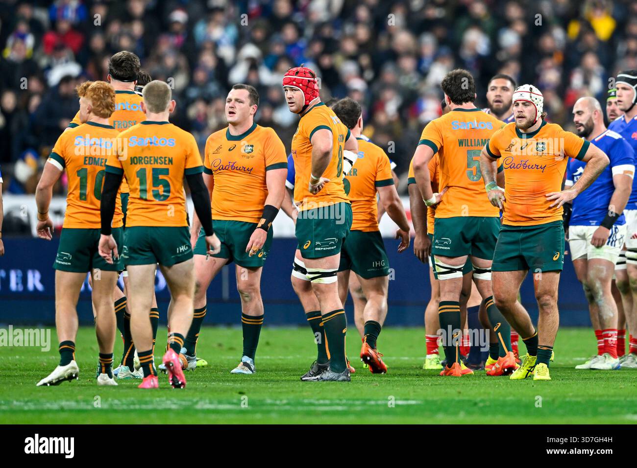 Fraser Falzon Rugby Illustration of Australian team in group with Harry Wilson and Fraser ...
