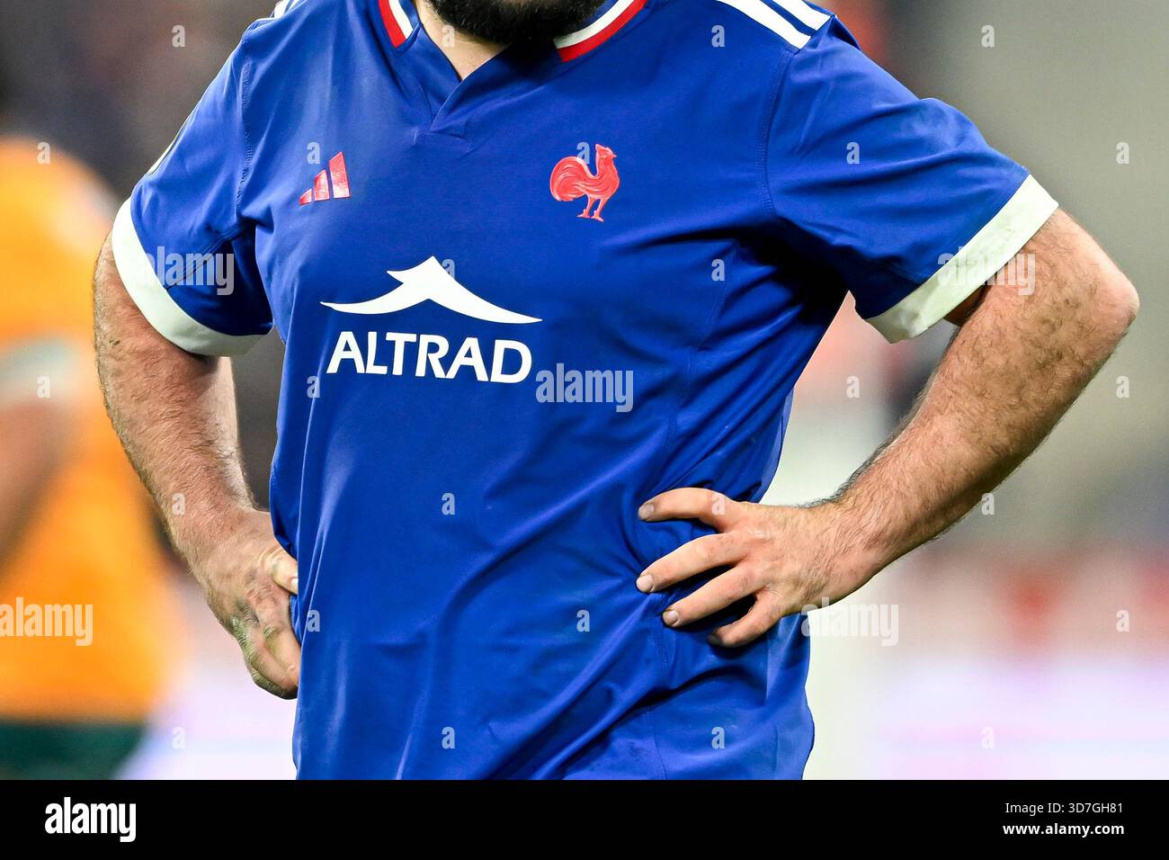 Wallabies rugby logo hi-res stock photography and images - Alamy