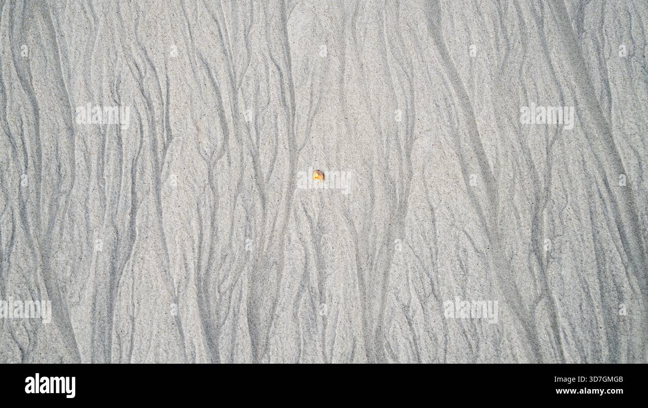 Minimalist sand patterns with a single seashell resting on fine coastal texture Stock Photo