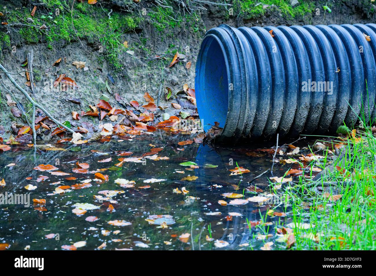 Shallow Plastic Pool A short plastic tube rests near a shallow pool along a leaf strewn path ...