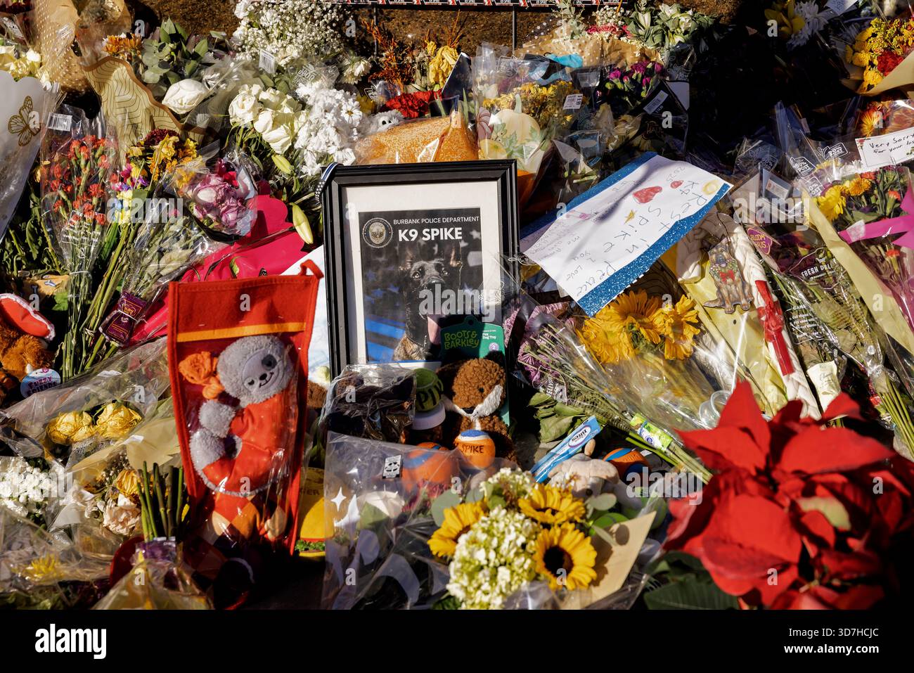 A growing memorial for “Spike,” a fallen Burbank Police K-9, has taken ...
