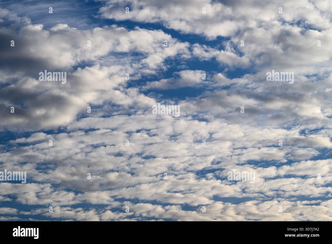 A stunningly beautiful sky adorned with fluffy cumulus clouds floating gracefully against a bright blue background Stock Photo
