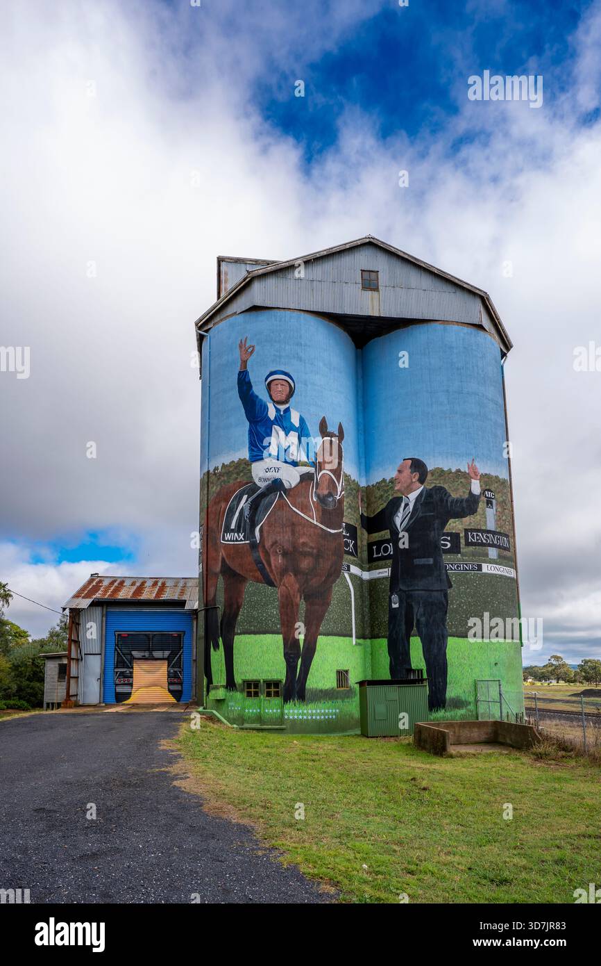 Race horse winx hi-res stock photography and images - Alamy